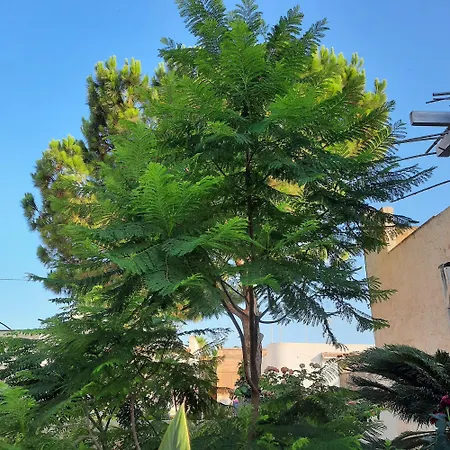 Casanzina - Tri-locale - A Immersa Nella Natura A 4 Km Dal Mare